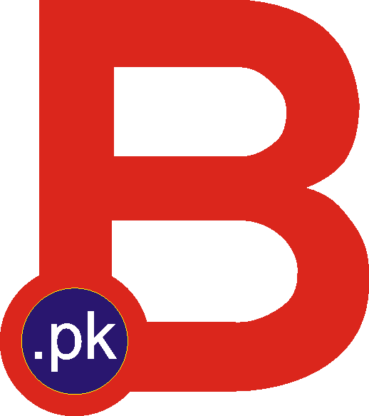 Logo Icon